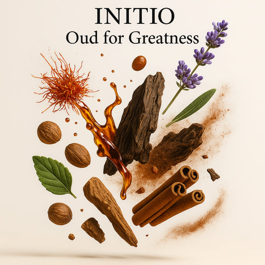 Duftnoten von Initio Oud for Greatness – Safran, Muskat, Oud, Lavendel, Patchouli und Moschus visuell dargestellt mit orientalischem Flair