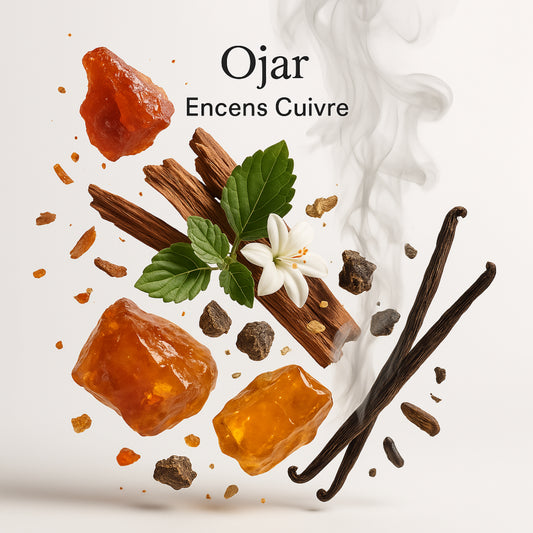 Duftnoten von Ojar Encens Cuivre – Weihrauch, Patchouli, Myrrhe, Harz, Vanille, Moschus und Amber bildlich dargestellt