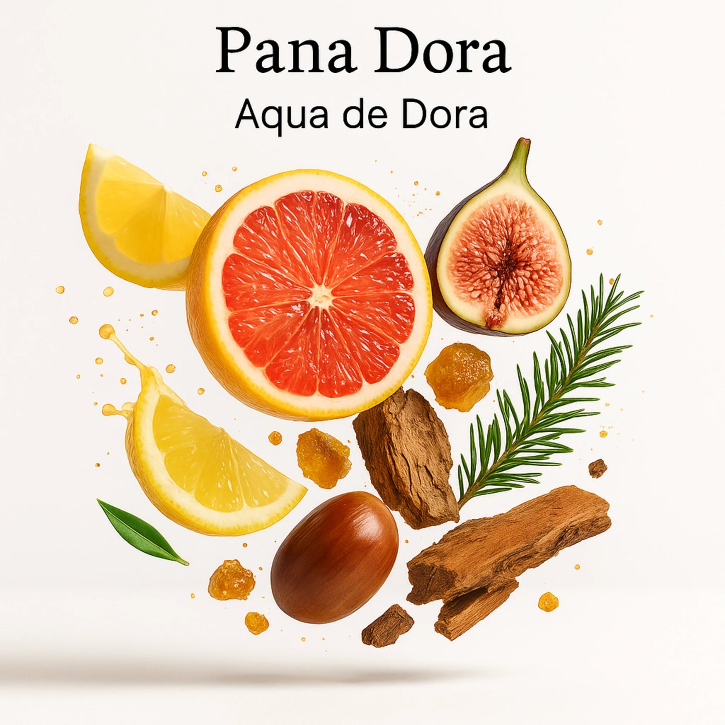 Duftnoten von Aqua de Dora – Grapefruit, Zitrone, Feige, Kastanie, Sandelholz, Kiefernharz und Cashmeran visuell dargestellt