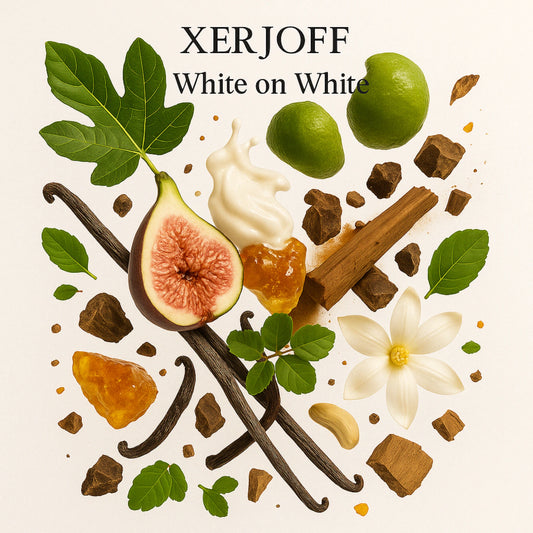 Duftnoten von Xerjoff White on White – Feige, Feigenmilch, Bourbon-Vanille, Patchouli und Amber bildlich dargestellt