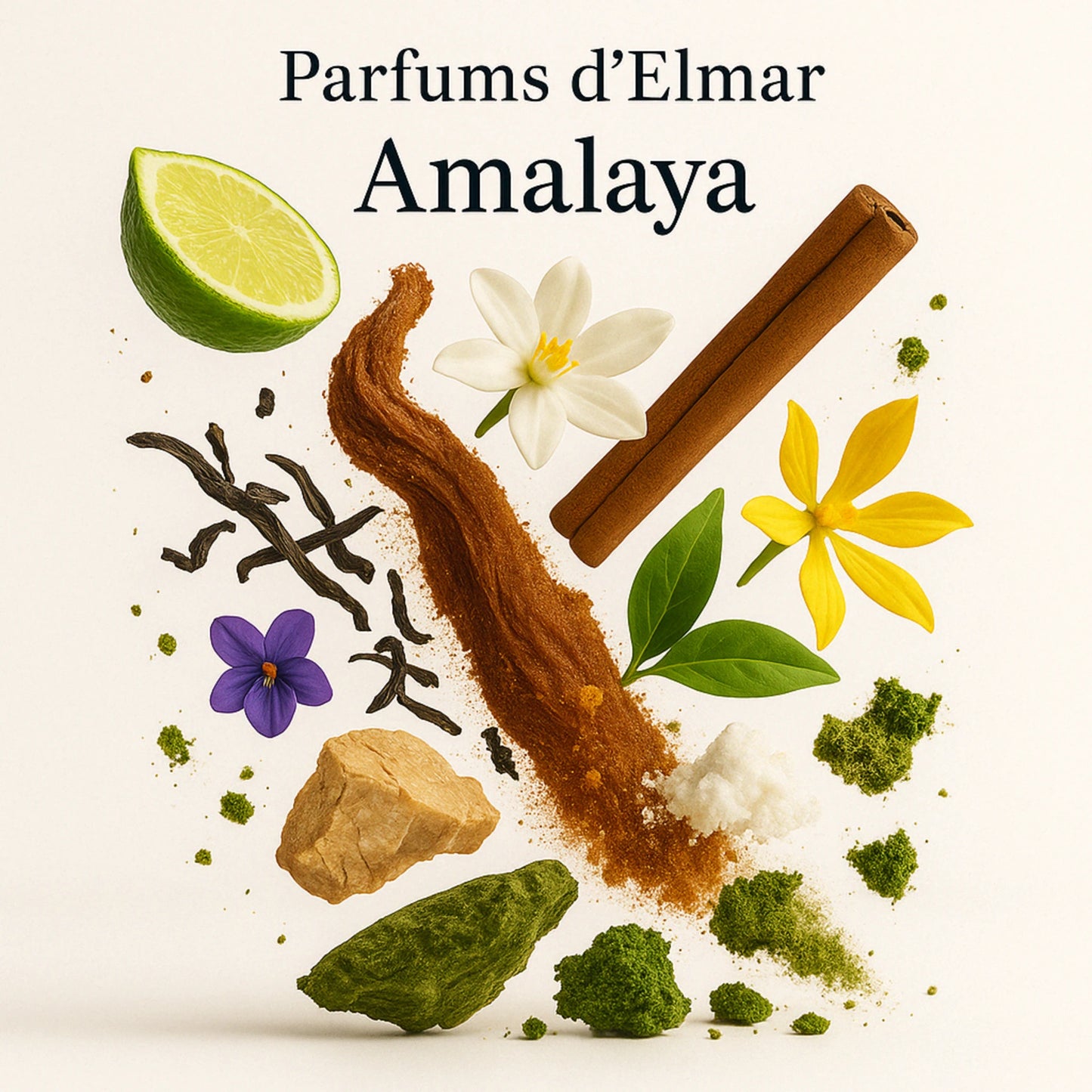 Duftnoten von Amalaya – Zimt, Veilchen, Ambrox, Ylang-Ylang, Bergamotte und Moschus visuell dargestellt
