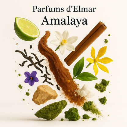 Duftnoten von Parfums d’Elmar Amalaya Extrait de Parfum, süß-cremiger pudrig-floraler Unisexduft mit Bergamotte, Zimt, Jasmin, Ylang-Ylang, Veilchen, Sandelholz, Moschus und Ambrox, visuelle Darstellung der Duftkomposition