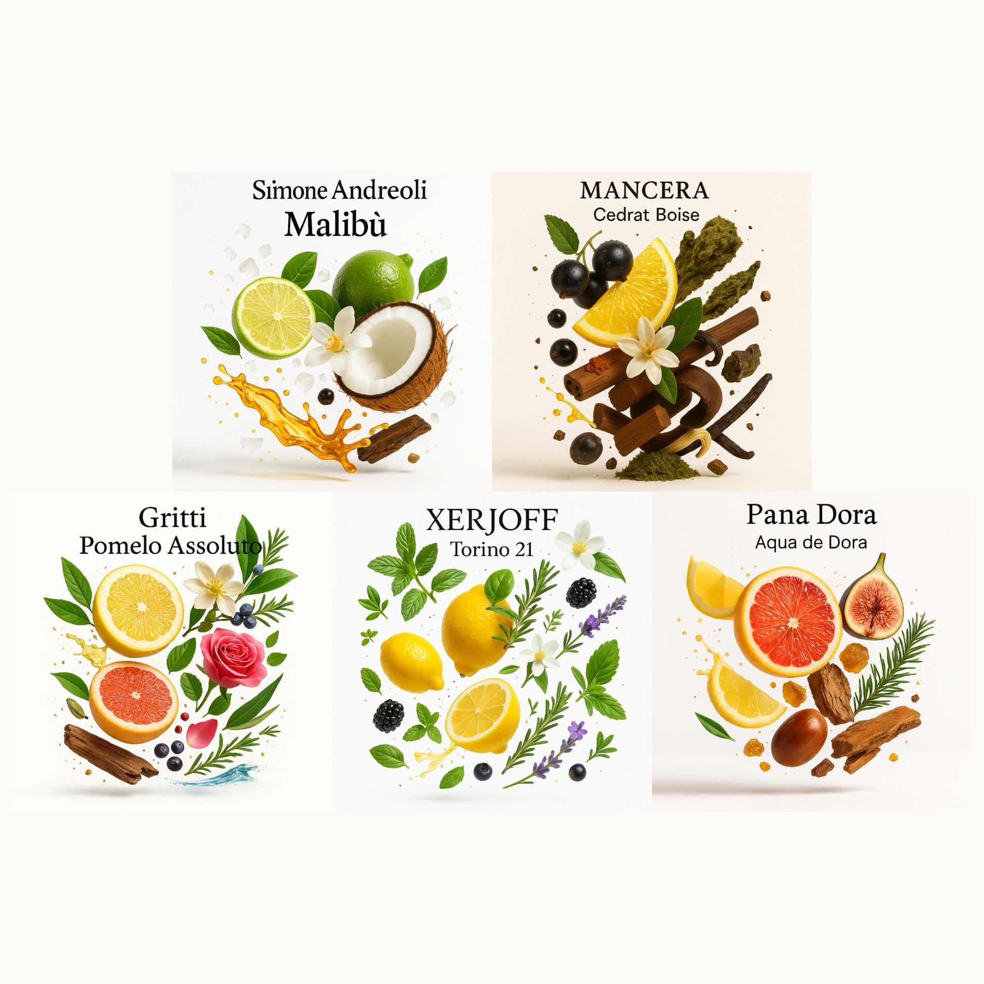 Duftnoten der Top 5 Sommerdüfte – Pomelo, Grapefruit und maritime Noten (Gritti Pomelo Assoluto), Limette, Kokos und Rum (Malibu Party in the Bay), Zitrone, Minze und Kräuter (Xerjoff Torino 21), Zitrone, schwarze Johannisbeere und Hölzer (Mancera Cedrat Boise), Zitrusfrüchte, Feige und maritime Akkorde (Pana Dora Aqua de Dora), visuell dargestellt