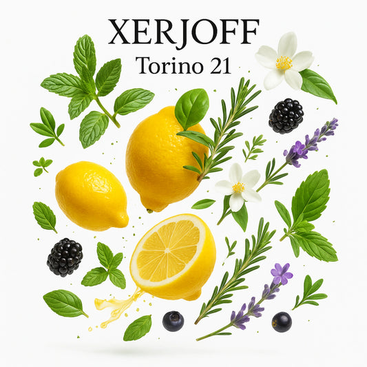 Duftnoten von Xerjoff Torino 21 – Zitrone, Minze, Basilikum, Lavendel, Rosmarin, Jasmin, schwarze Johannisbeere und Moschus, frisch und zitrisch visualisiert mit leuchtend gelben Zitronen und grünen Kräutern.